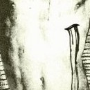 D.R.