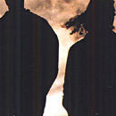 D.R.