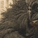 D.R.