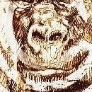 D.R.