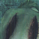 D.R.