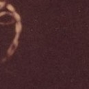 D.R.