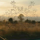D.R.