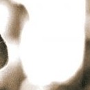 D.R.