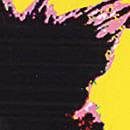 D.R.