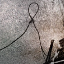 D.R.