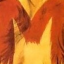 D.R.