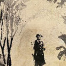 D.R.