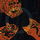 D.R.