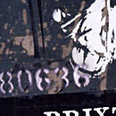 D.R.