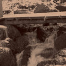 D.R.