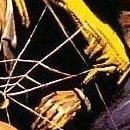 D.R.