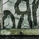 D.R.
