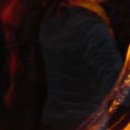 D.R.