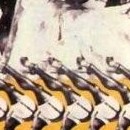 D.R.