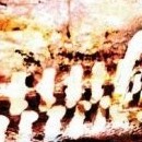 D.R.