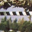 D.R.