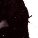 D.R.