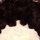D.R.