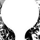 D.R.