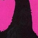 D.R.