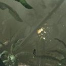 Crysis © 2007 Electronic Arts Inc.