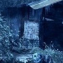 Crysis © 2007 Electronic Arts Inc.
