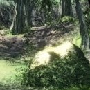 Crysis © 2007 Electronic Arts Inc.