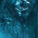 D.R.