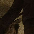 DR