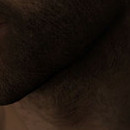 DR