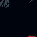 DR