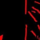 DR
