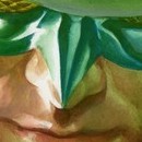 DR