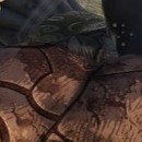 DR