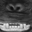 Cheeeese