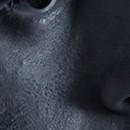 DR