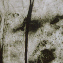 DR