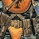 D.R.