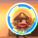 DR
