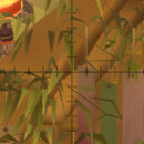 DR