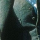 DR