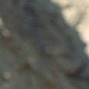 DR