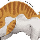 Cats vol 03