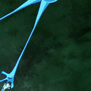 DR