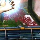 DR