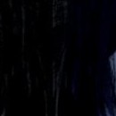 Al Jourgensen