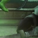 TMNT - Un boss