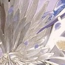Les Descendants des Ténèbres vol 09