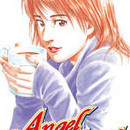 Angel Heart vol 14